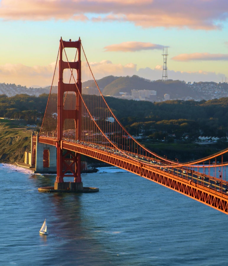 Urgent travel requirement services