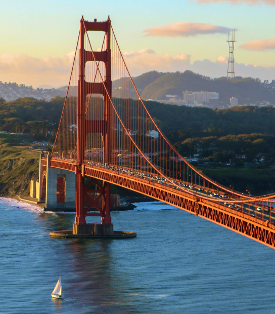 Document verification and submission aid