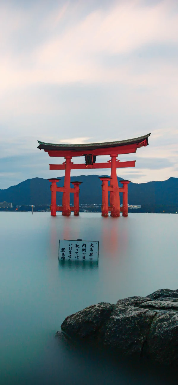 Pre-embassy visit consultation